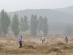 顺义区殡仪馆多举措并举做好山林防火工作