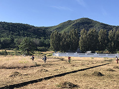 顺义区殡仪馆四大举措筑牢山林防火安全防线