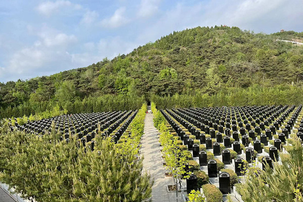 雁阳山公墓位置在哪？雁阳山公墓环境怎么样预约电话号码多少？