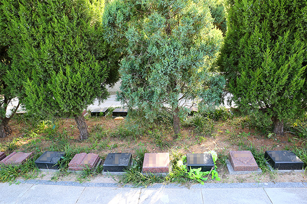 太子峪陵园自然葬树葬墓地在哪？太子峪陵园自然葬树葬价格多少钱