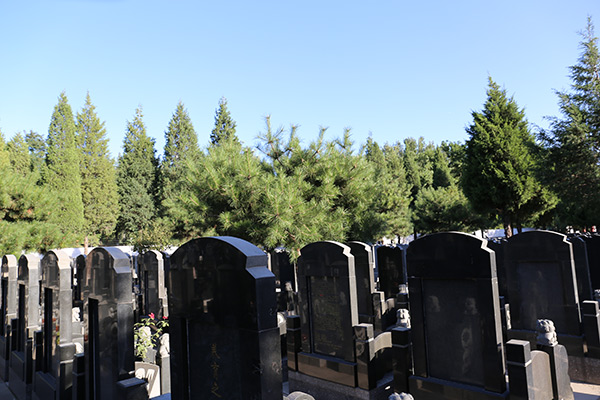 通州墓地有哪些地址在哪里？通州陵园墓地价位多少钱？