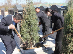 种一抹绿色 美一方净土 万桐园公墓组织开展植树活动