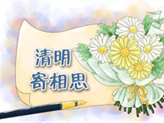 潮白陵园烧纸换鲜花,文明寄哀思