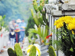 2019年清明节期间北京市祭扫人数预计达500万