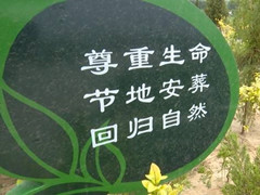 推行“不留碑，不留灰”节地生态葬,还有奖励，你怎么选？