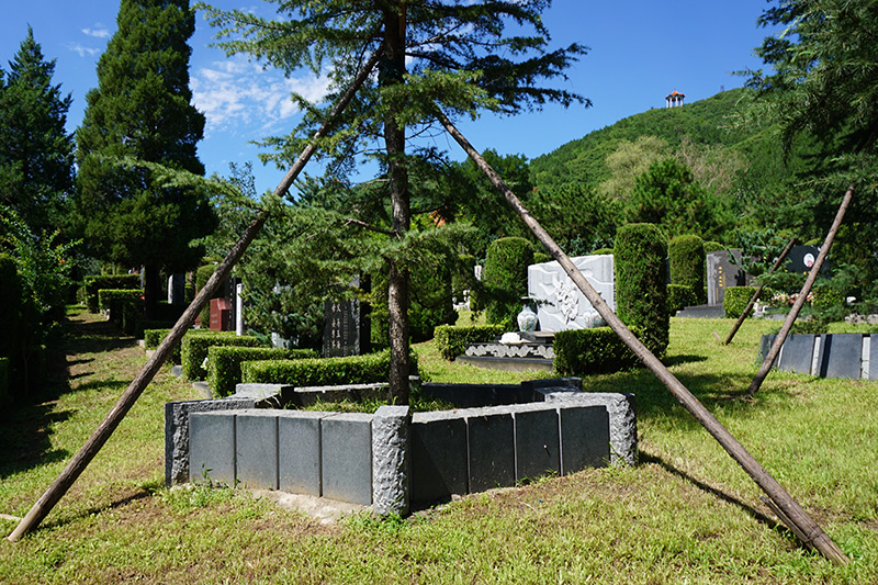北京市的树葬陵园主要分布在公墓比较集中的辖区,像北京