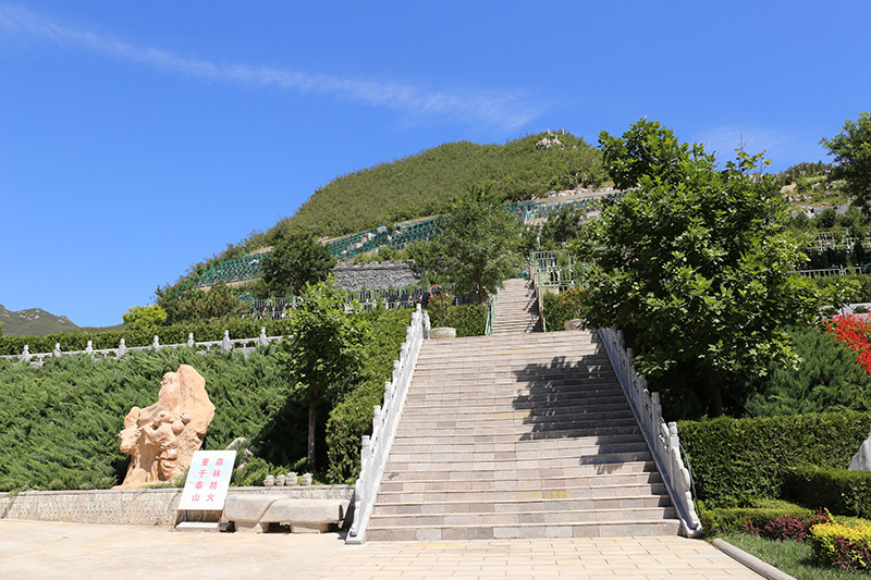 桃峰园绿化景观