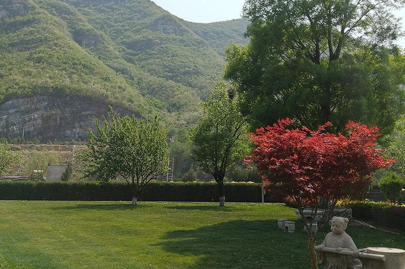 桃峰园绿化景观