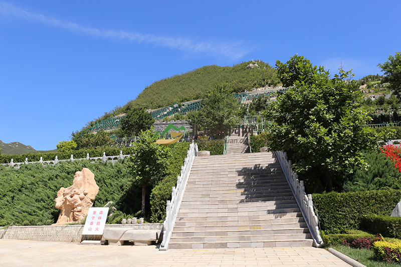 桃峰园墓区绿化景观