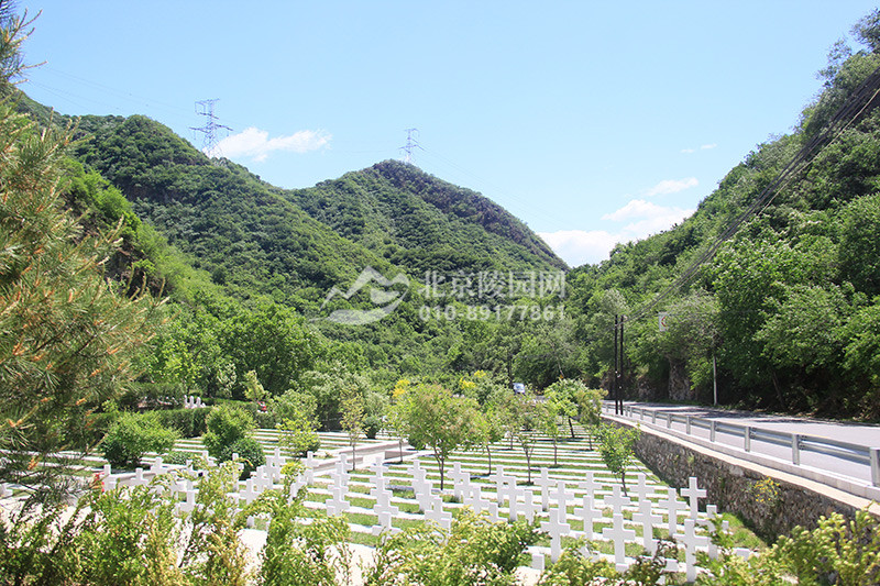 九公山长城纪念林