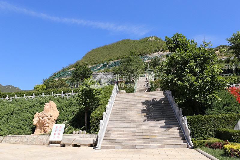 桃峰陵园墓区景观