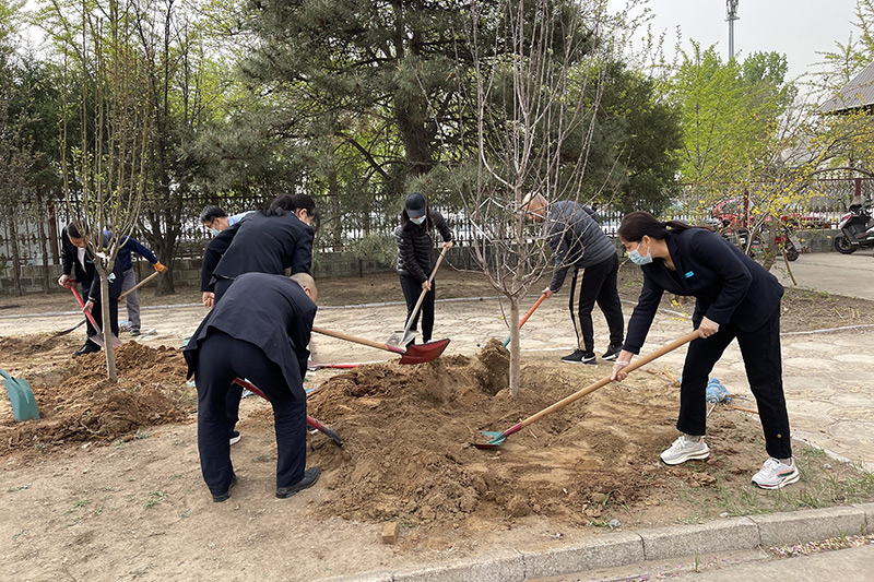 潮白陵园职工植树现场