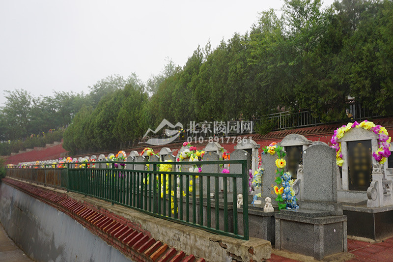 九里山公墓二区墓区实拍