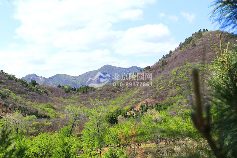 景仰园陵园周边山势