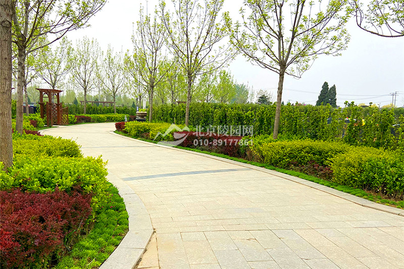 涿州永安陵园道路景观