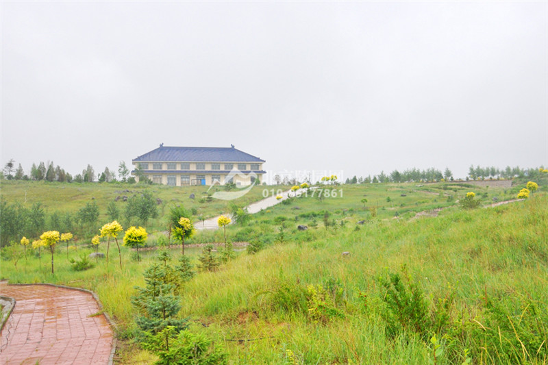 德厚陵园植被景观