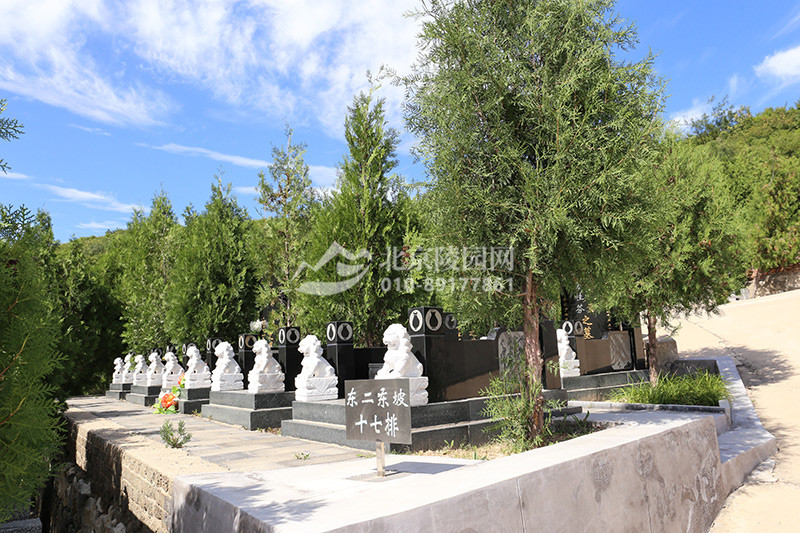 龙泉公墓墓区实拍