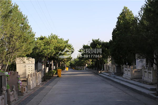 太子峪陵园墓区道路