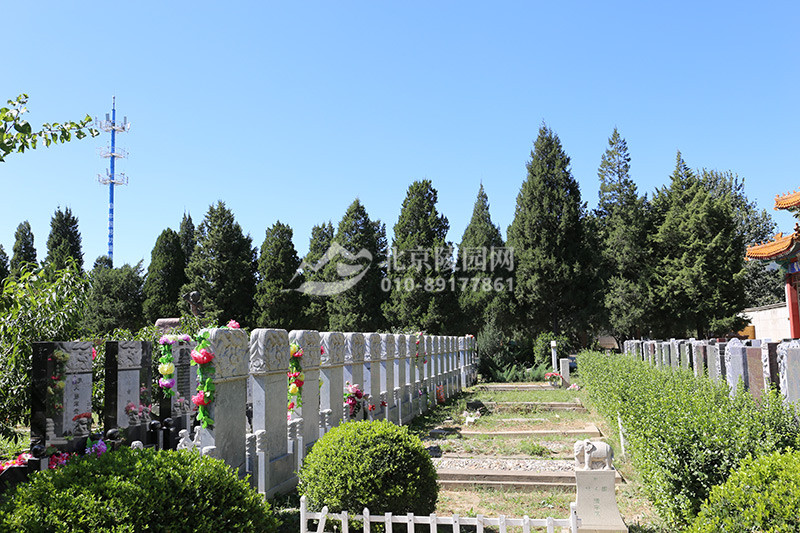 福田公墓墓区景观