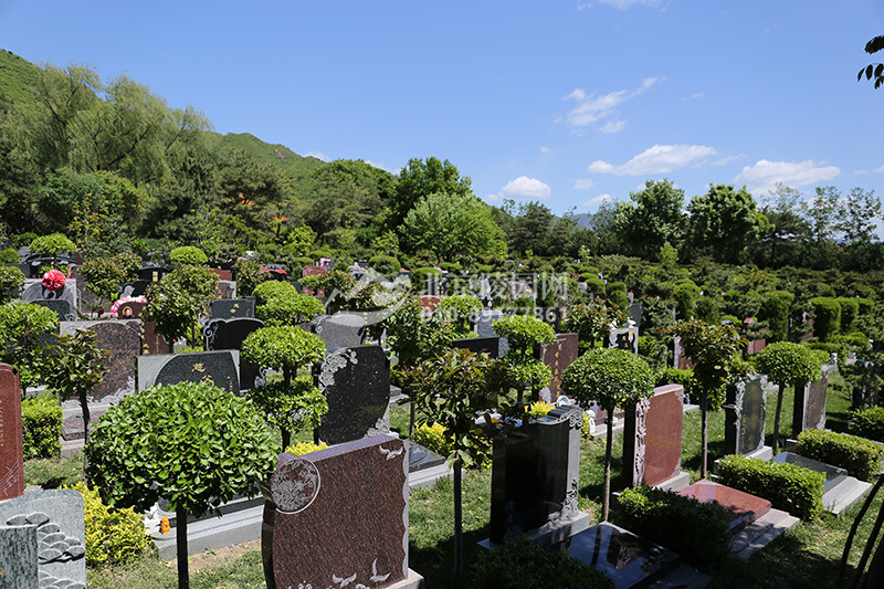 天寿陵园立碑