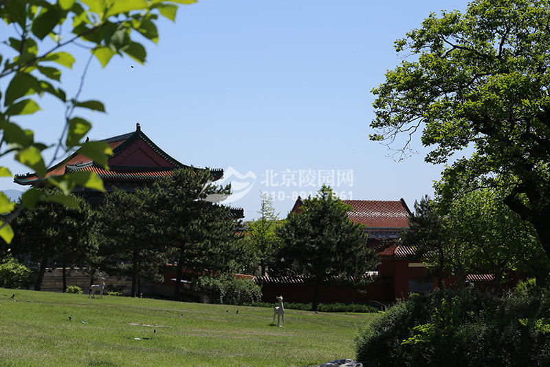 天寿陵园植被景观