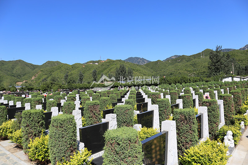 凤凰山陵园墓区实拍