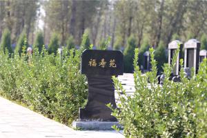 福寿苑墓区景观