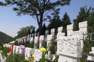 公墓墓区绿化