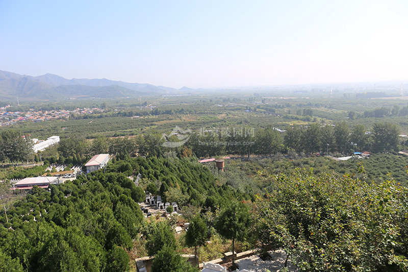 归山陵园植被景观